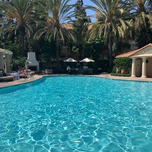 Accepts All Reasonable Offers ❤